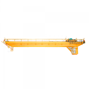 FEM Standard Double Girder Overhead Crane