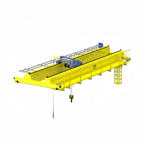 FEM Standard Double Girder Overhead Crane