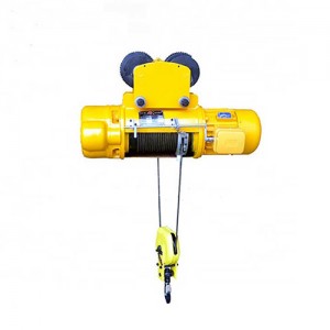 Electric Wire Rope Hoist