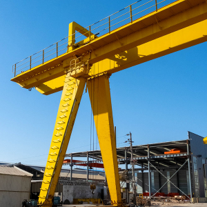 Double Girder Gantry Crane