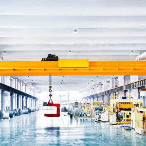 FEM Standard Double Girder Overhead Crane