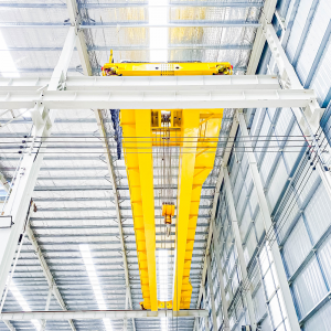 FEM Standard Double Girder Overhead Crane