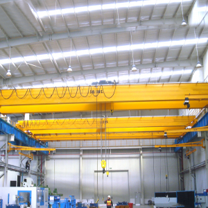 Double Girder Overhead Crane with Hooks